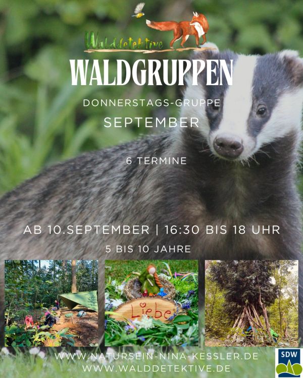 Waldgruppen Donnerstags-Gruppe für Kinder von 5 bis 10 Jahren im September.