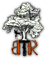 Bushmont Tree Removal Service