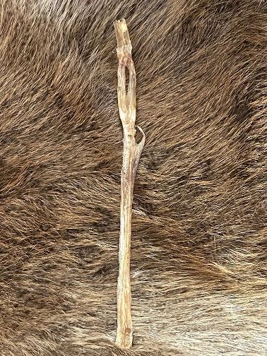 Deer Leg Sinew