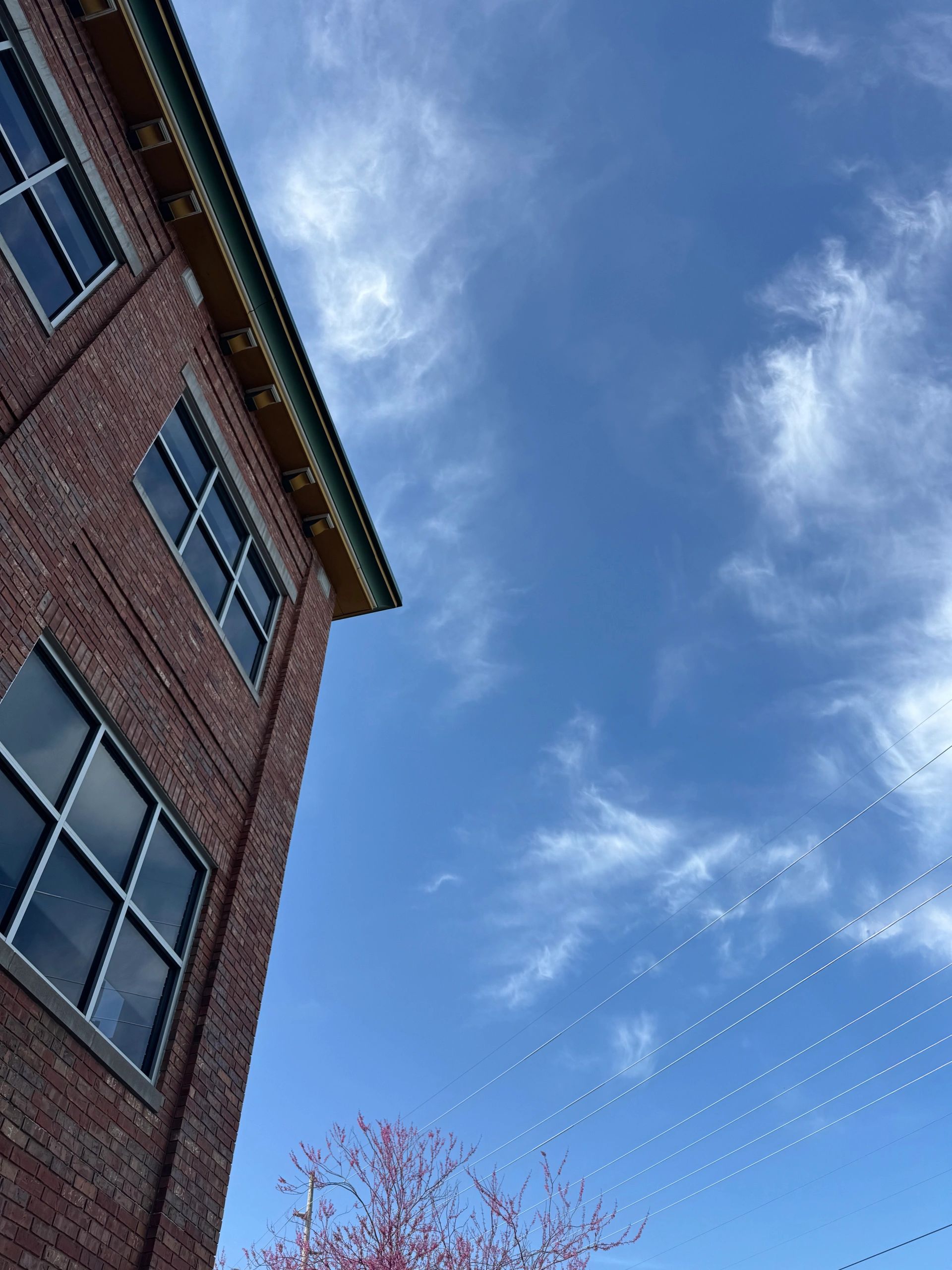 Architectural Designer