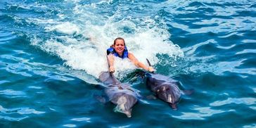 Cancun dolphin swim: Royal Swim dorsal tow interaction in turquoise waters in 2026.