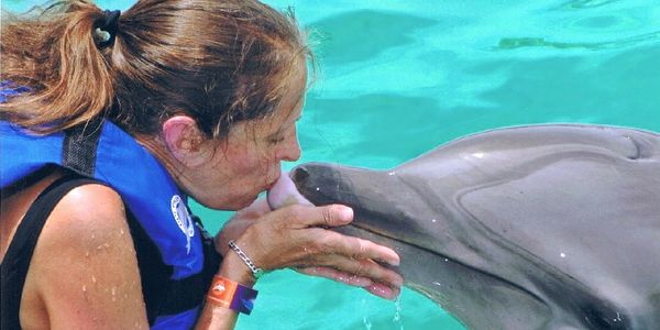 Book Dolphin Encounter Signature Family Interaction Isla Mujeres Excursion