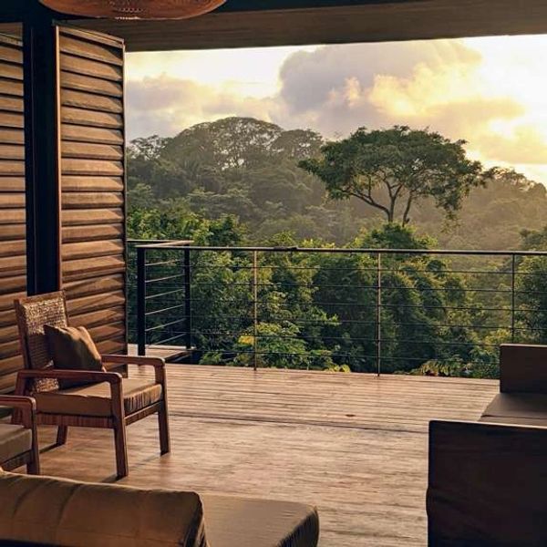 Cozy wooden veranda overlooking lush green forest at sunset.