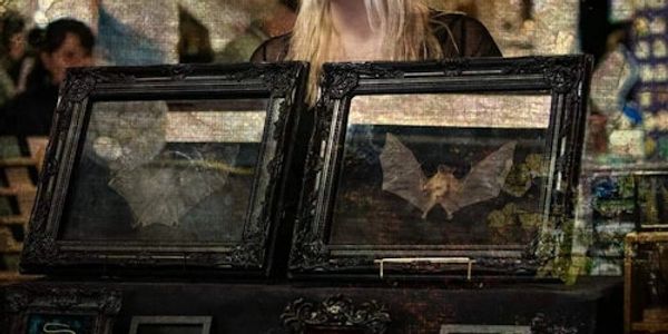 Woman at a gothic-themed display with framed bats and insects.