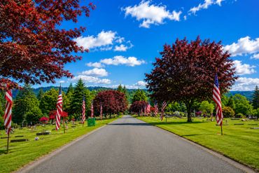 A serene cemetery road lined with American flags and vibrant red trees under a blue sky.