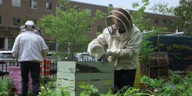 Guillermo Fernandez working in Battery Park.