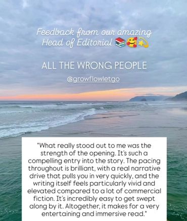Inspirational editorial feedback on a beach sunset background.