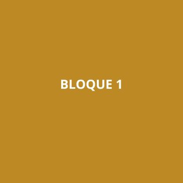Text 'BLOQUE 1' on a solid brown background.