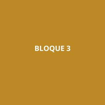 White text 'BLOQUE 3' on a mustard yellow background.