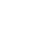 Social Capital