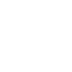 Social Capital