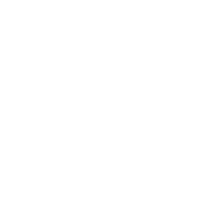 Social Capital