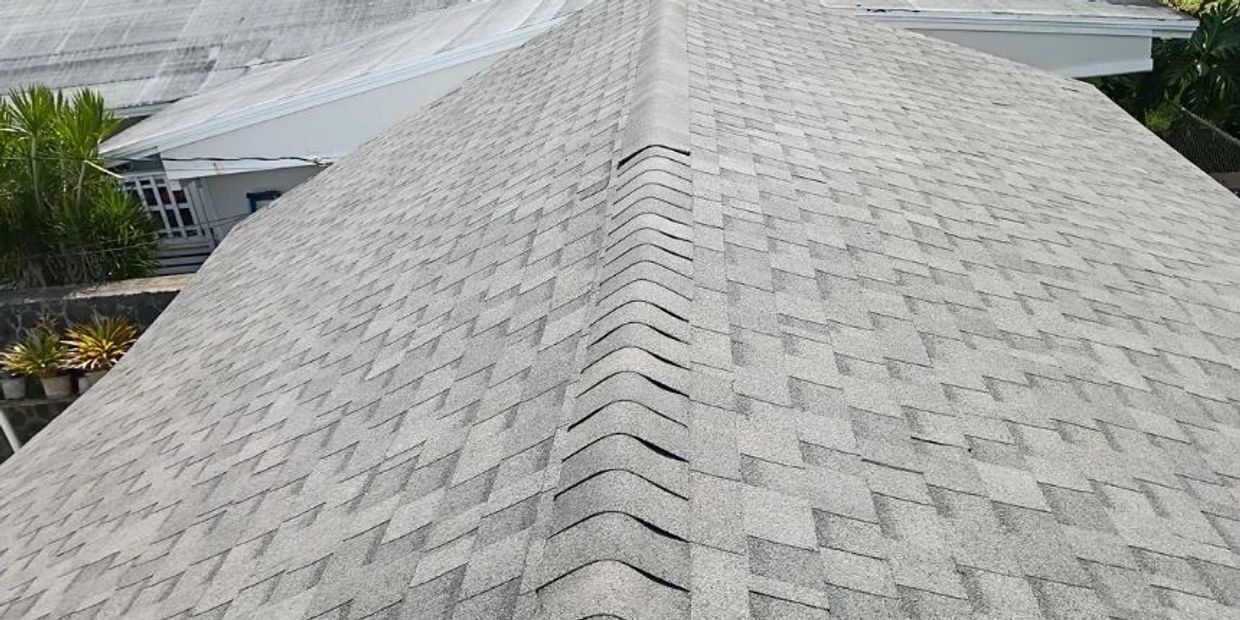 Close-up of a gray shingled rooftop with a ridge vent.