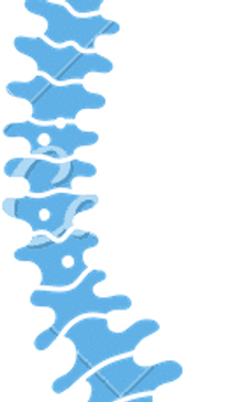 use computerized technology to create negative intradiscal pressure in the spine. During setup, the 