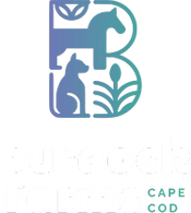 Burdock Farms