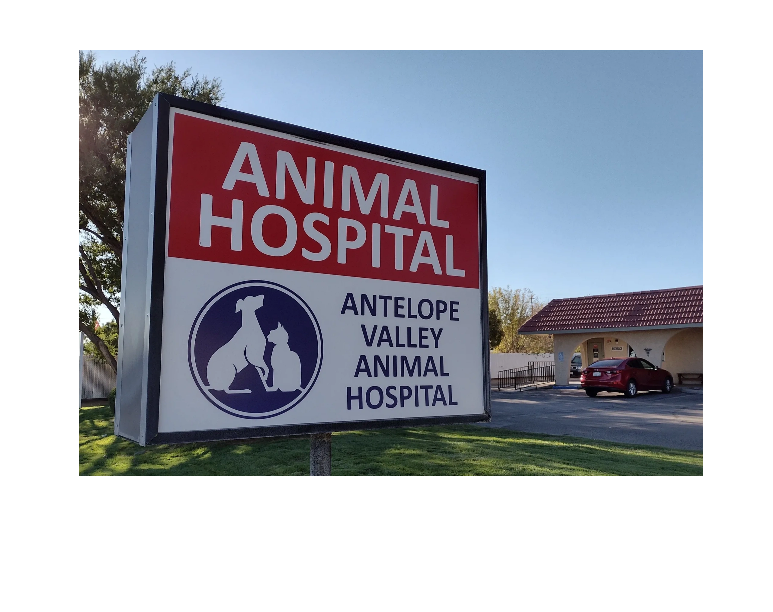 Antelope Valley Animal Hospital Antelope Valley Animal Hospital