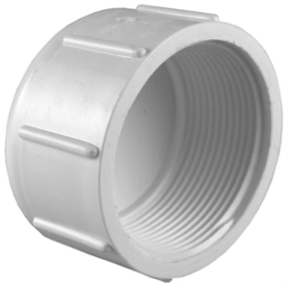 Fipt Size PVC FIPT CAP - SELECT A SIZE