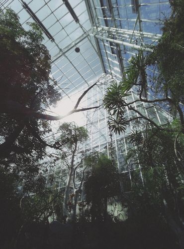 Image of the greenhouse portion of the botanical gardens.