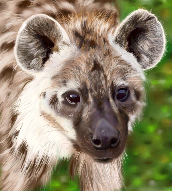 Digital rendering of a hyena. 