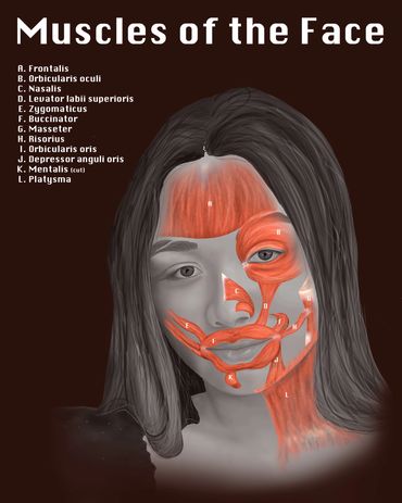 Self-portrait with muscles exposed on face