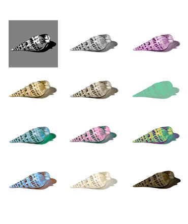 Twelve renderings of a shell using different color schemes done in Adobe Photoshop. 