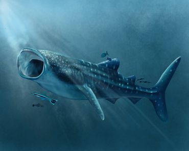 Digital rendering of a whale shark.