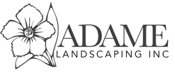 Adame Landscaping Inc