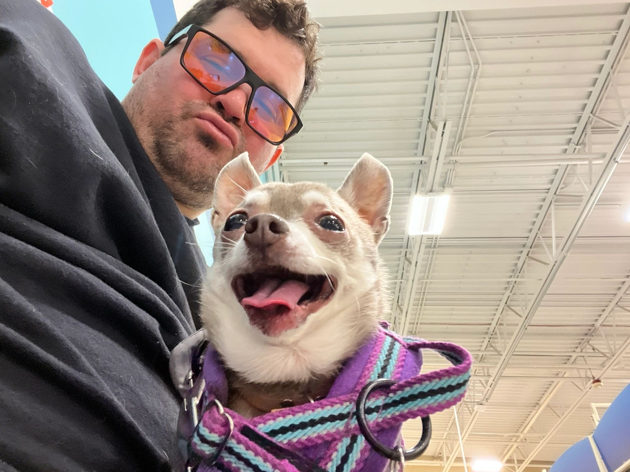 Man wearing glasses takes a selfie with a happy small dog in a colorful harness indoors.