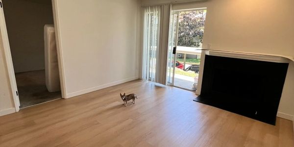 Empty room with wooden floor, fireplace, and a small dog.