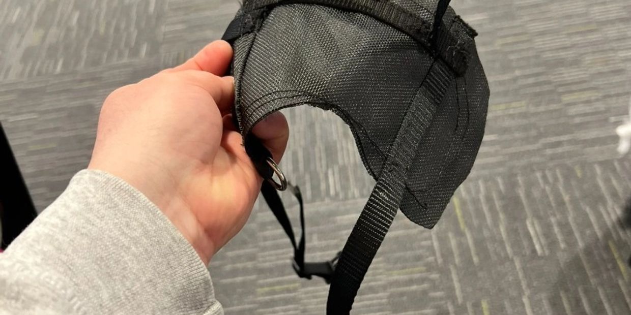 Hand holding a black pet harness with a D-ring on a carpeted floor.