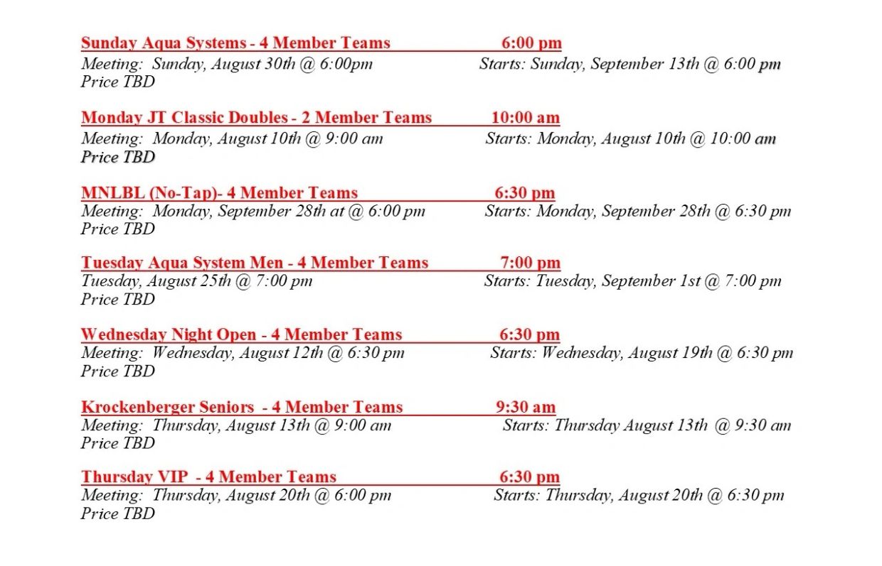 Schedule of weekly team meetings with dates and times.