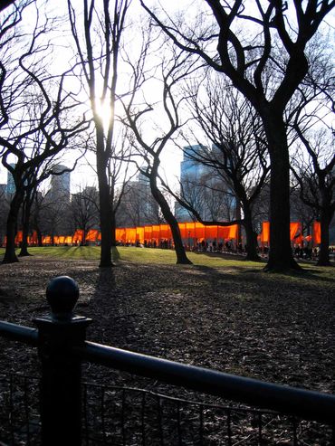 Orange flags lining sidewalk in Central Park with leafless trees