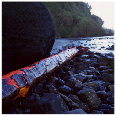 Red log and large round rock laying on a stony beach