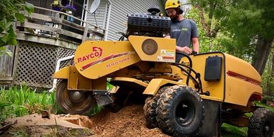 Operator uses a yellow stump grinder near a house.