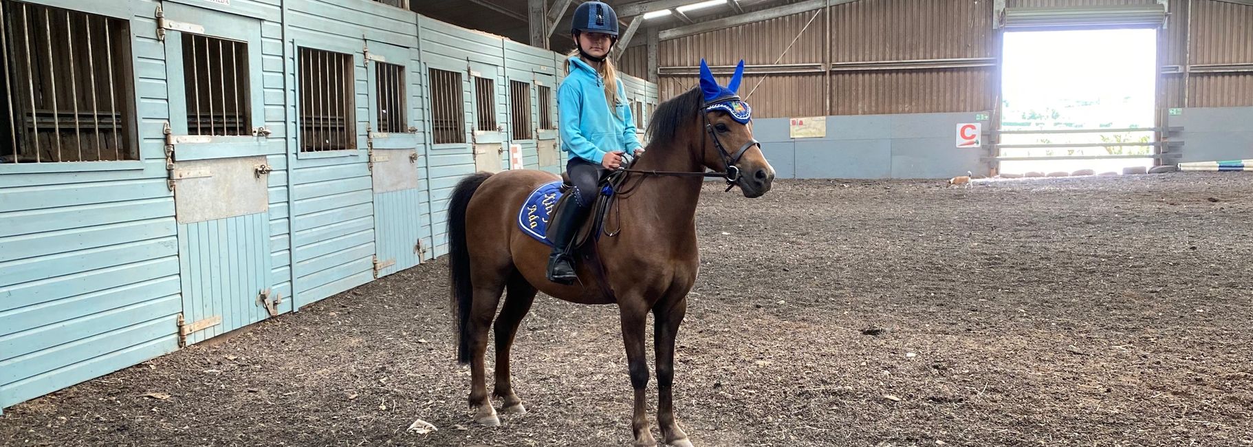 Riding Lessons Hooves and Paws Equestrian Centre