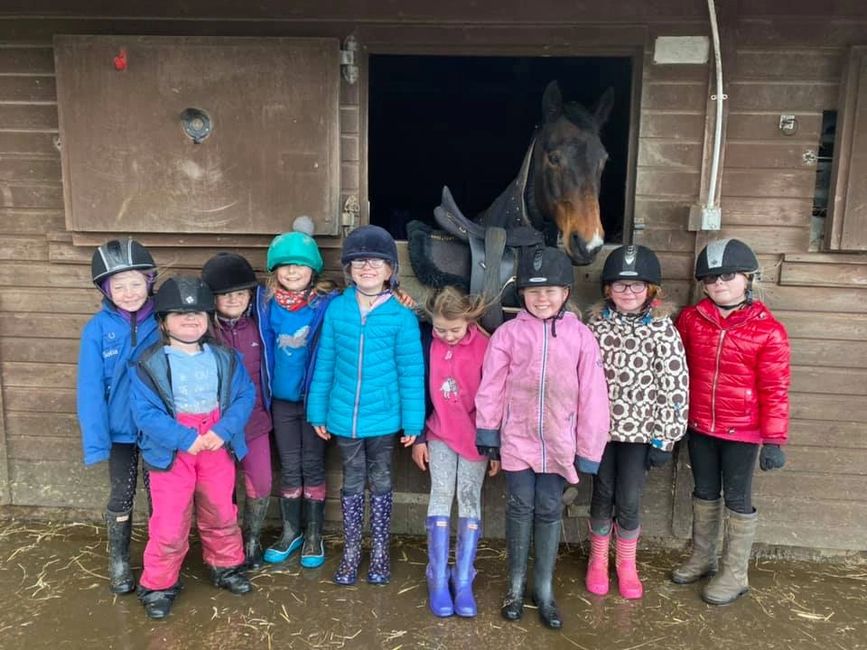Saddle Club Hooves and Paws Equestrian Centre