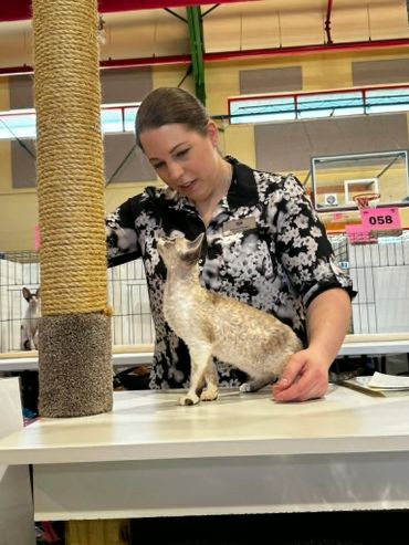 A woman examining a cat on a table at a pet event.