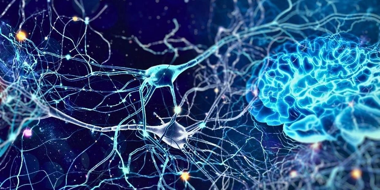 Digital illustration of a glowing human brain with interconnected neurons.
