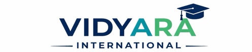 VIDYARA INTERNATIONAL 