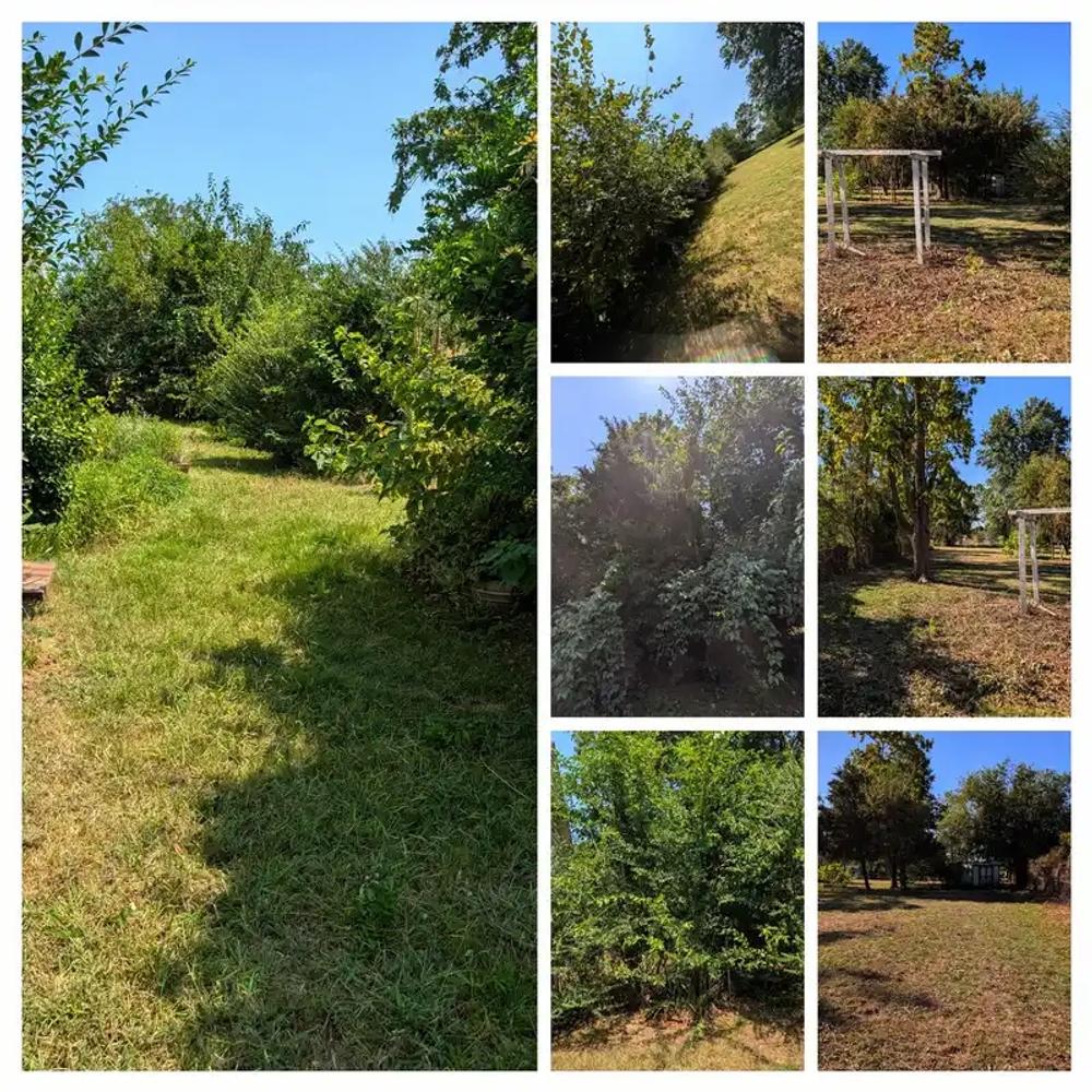 Residential lawn with green trees and grassy paths under blue sky — Thomas Lawn and Landscape lawn care in Sperry, OK