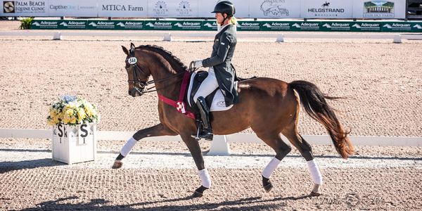 Leif and Scamp earning 2nd in CDI small tour