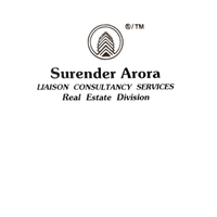 Liaison Consultancy Services - Surender Arora