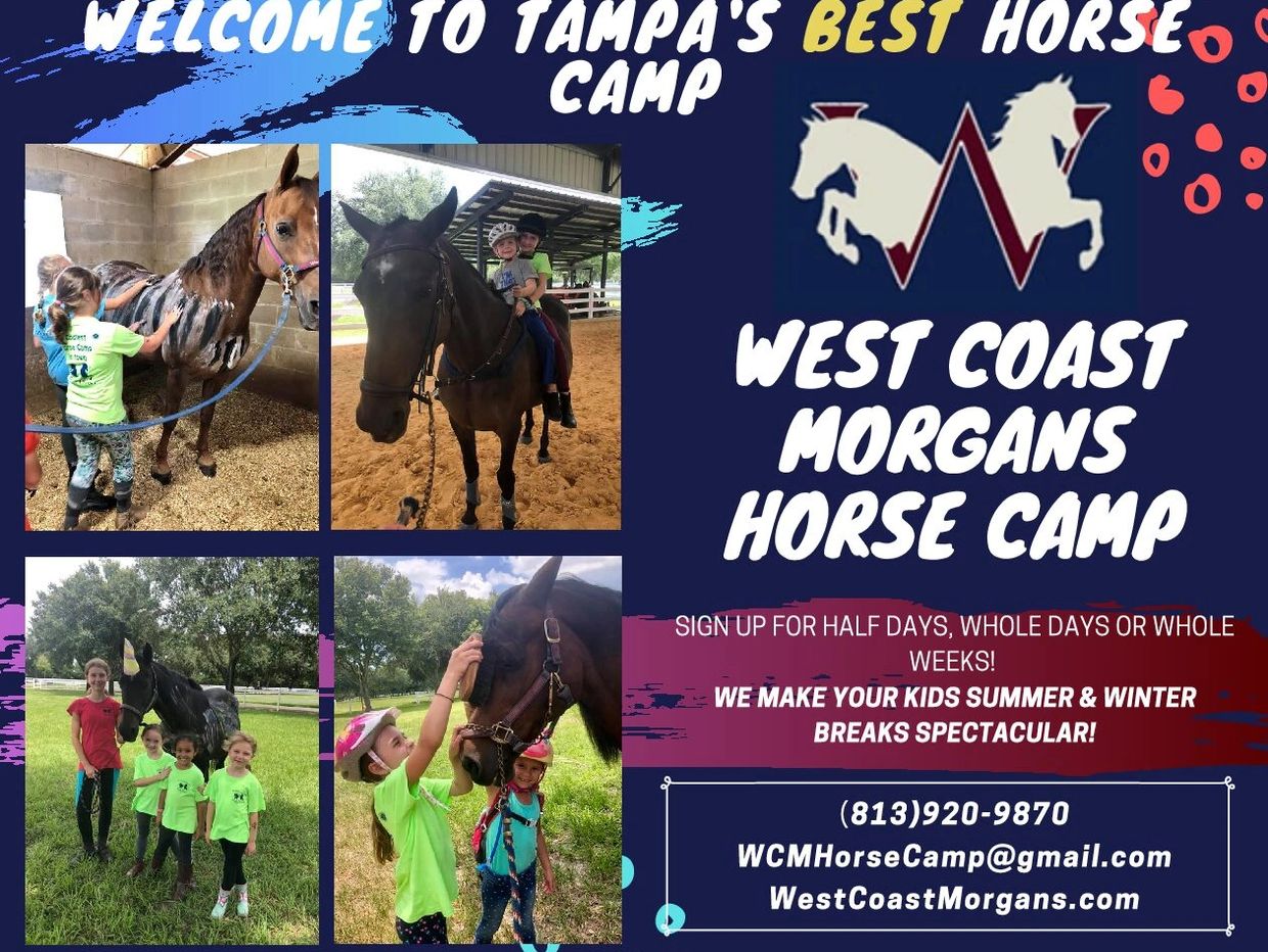 Camps