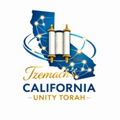 California Unity Torah Scroll