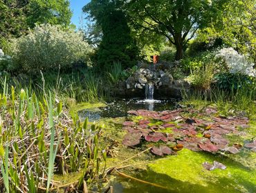 Supplied and installed a pond pump and filter system to operate a decorative waterfall, enhancing ou