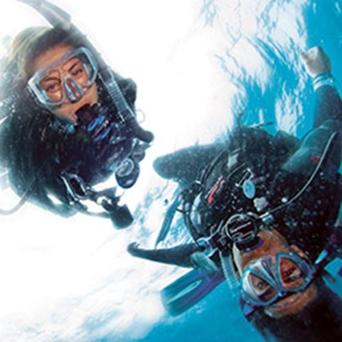 padi open water diver touch final exam