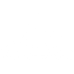 Access Investment Advisors