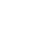 Access Investment Advisors