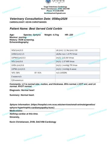 Veterinary cardiology report for a Sphynx cat named Best Served Cold Corbin.