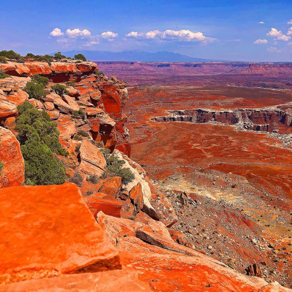 Vivid red rock canyon landscape with green shrubs under a blue sky.